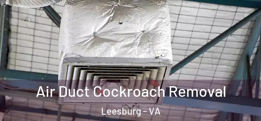 Air Duct Cockroach Removal Leesburg - VA