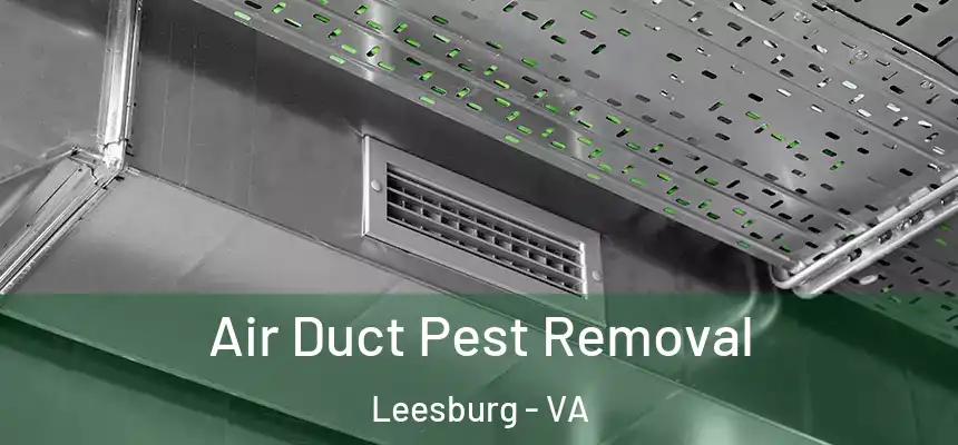  Air Duct Pest Removal Leesburg - VA