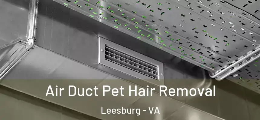 Air Duct Pet Hair Removal Leesburg - VA