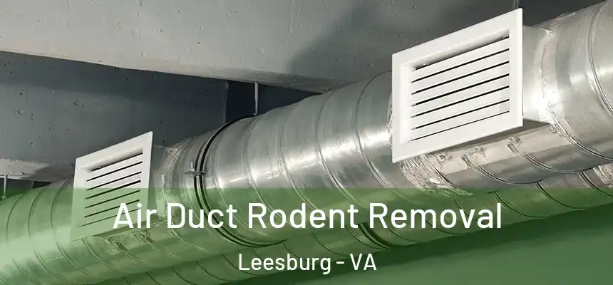 Air Duct Rodent Removal Leesburg - VA