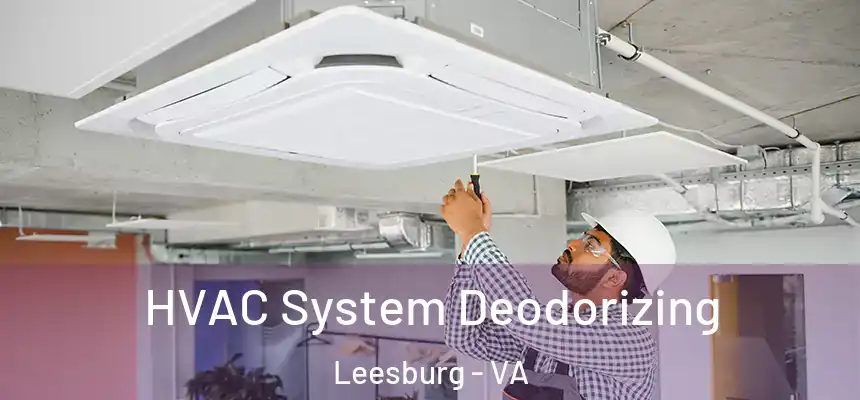 HVAC System Deodorizing Leesburg - VA