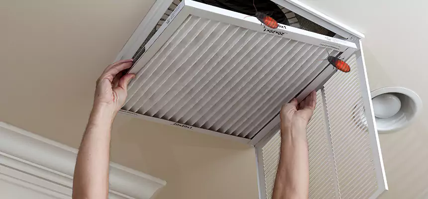 Preventive Cockroach-Proofing for Ducts in Leesburg