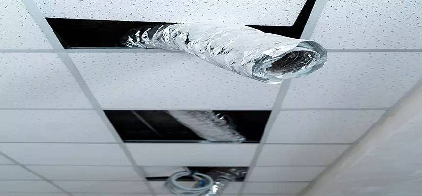 Our Air Duct Pet Hair Removal Services in Leesburg, VA