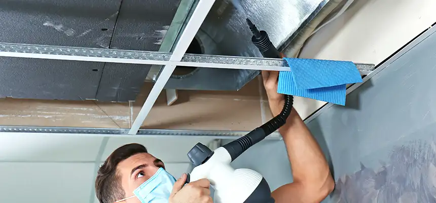 Our Air Duct Rodent Removal Services in Leesburg, VA