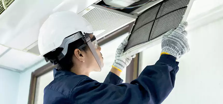 Our Mold & Mildew Removal from Air Ducts Services in Leesburg, VA