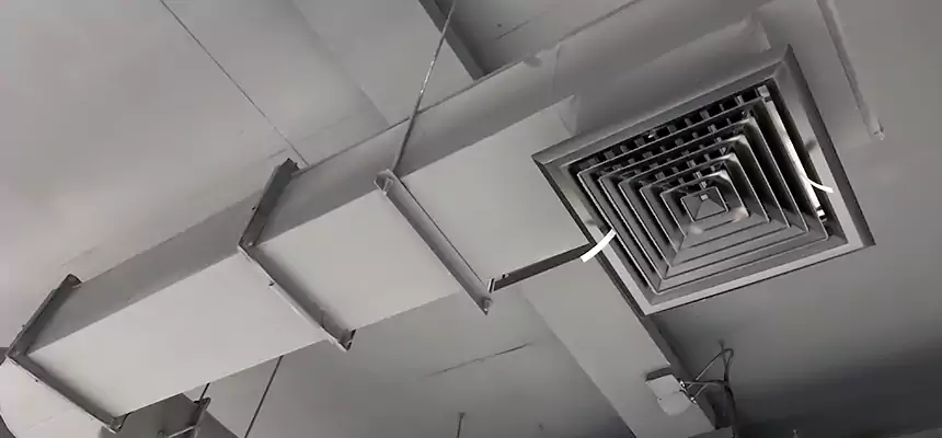 Our Pest Removal From Ducts Services in Leesburg, VA