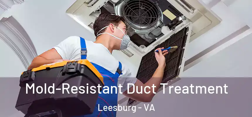  Mold-Resistant Duct Treatment Leesburg - VA