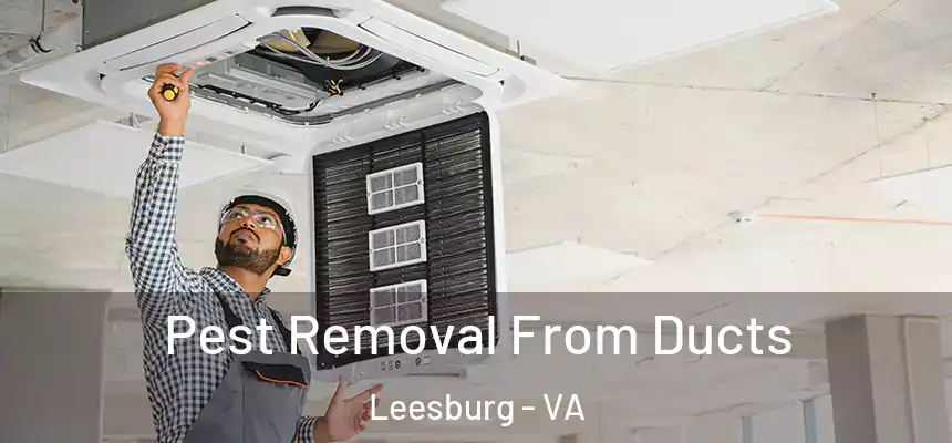 Pest Removal From Ducts Leesburg - VA