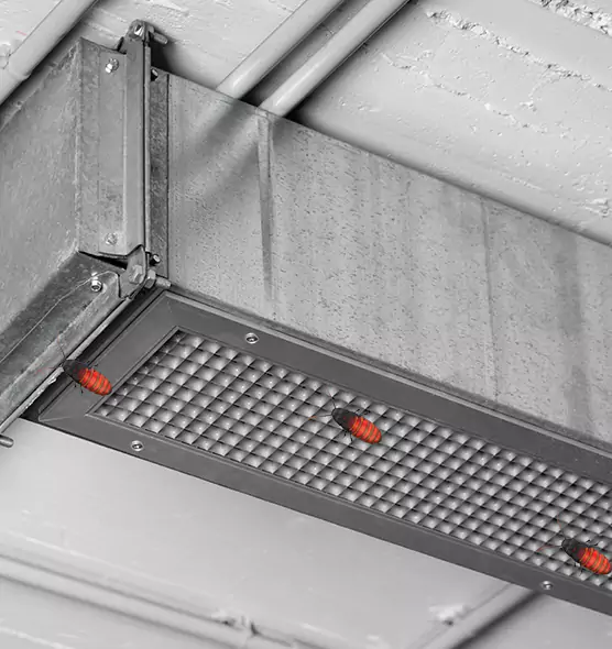 About Air Duct Cockroach Removal in Leesburg, VA