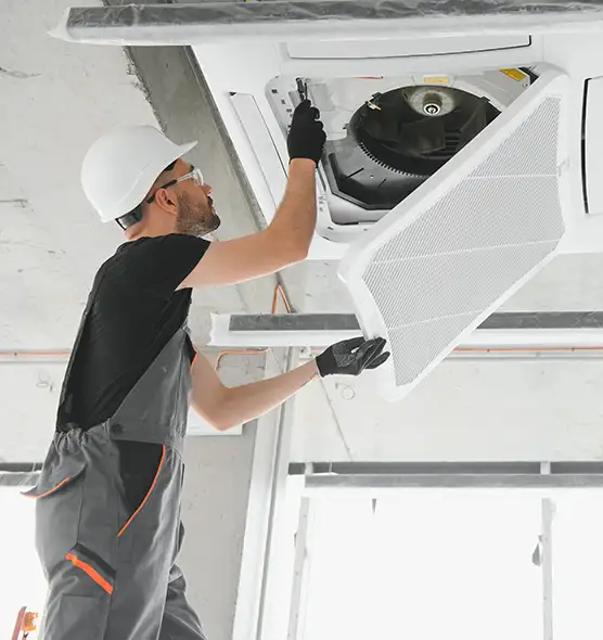 About Air Duct Rodent Removal in Leesburg, VA