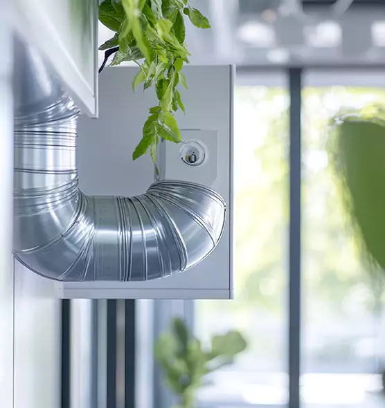 Professional Eco-Friendly Duct Cleaning Services in Leesburg, VA