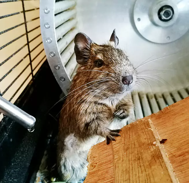 Why Homeowners & Businesses Trust Us Leesburg, VA