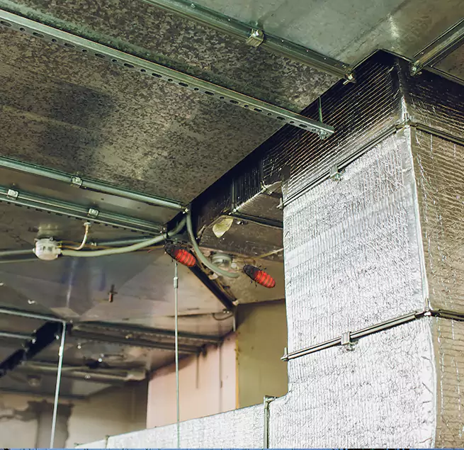 Why Homeowners & Businesses Trust Us Leesburg, VA?