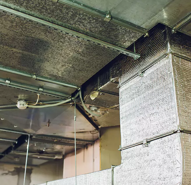 Why Homeowners & Businesses Trust Us in Leesburg, VA?